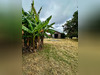 Ma-Cabane - Vente Maison Civrac-sur-Dordogne, 178 m²