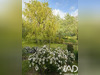 Ma-Cabane - Vente Maison Cleden-Cap-Sizun, 118 m²