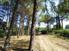 Ma-Cabane - Vente Maison Clermont-l'Hérault, 206 m²