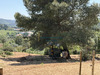 Ma-Cabane - Vente Maison Clermont-l'Hérault, 156 m²