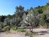 Ma-Cabane - Vente Maison Clermont-l'Hérault, 130 m²