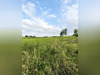 Ma-Cabane - Vente Maison Cliponville, 101 m²