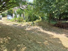Ma-Cabane - Vente Maison Cluny, 250 m²