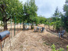 Ma-Cabane - Vente Maison COGNAC, 69 m²