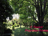 Ma-Cabane - Vente Maison CONCHES SUR GONDOIRE, 131 m²