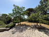 Ma-Cabane - Vente Maison CONDEZAYGUES, 210 m²