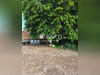 Ma-Cabane - Vente Maison Contigny, 195 m²