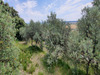 Ma-Cabane - Vente Maison CORBIERES, 75 m²