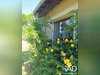 Ma-Cabane - Vente Maison Corme-Royal, 102 m²