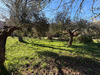 Ma-Cabane - Vente Maison CORRENS, 50 m²