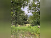 Ma-Cabane - Vente Maison CORVEISSIAT, 132 m²