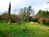 Ma-Cabane - Vente Maison COUFOULEUX, 217 m²