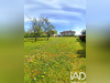 Ma-Cabane - Vente Maison Courcelles-Chaussy, 118 m²