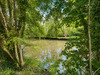 Ma-Cabane - Vente Maison COURMANGOUX, 190 m²