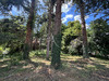 Ma-Cabane - Vente Maison COURS-LES-BARRES, 190 m²
