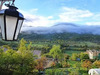 Ma-Cabane - Vente Maison COURSEGOULES, 393 m²