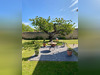 Ma-Cabane - Vente Maison COURSEULLES SUR MER, 218 m²