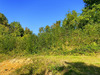 Ma-Cabane - Vente Maison Courtenay, 80 m²