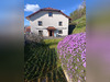 Ma-Cabane - Vente Maison CRANS, 333 m²