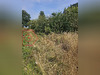 Ma-Cabane - Vente Maison CRIEL SUR MER, 80 m²