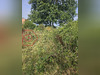 Ma-Cabane - Vente Maison CRIEL SUR MER, 80 m²