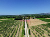 Ma-Cabane - Vente Maison Crillon-le-Brave, 350 m²