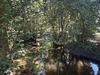 Ma-Cabane - Vente Maison CROZON SUR VAUVRE, 200 m²
