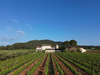 Ma-Cabane - Vente Maison CUERS, 600 m²