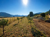 Ma-Cabane - Vente Maison CUGES-LES-PINS, 140 m²