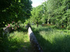 Ma-Cabane - Vente Maison CUISEAUX, 170 m²