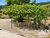 Ma-Cabane - Vente Maison Curnier, 158 m²
