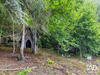 Ma-Cabane - Vente Maison Dampierre-en-Yvelines, 450 m²
