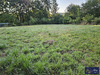 Ma-Cabane - Vente Maison Davignac, 306 m²