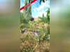 Ma-Cabane - Vente Maison DEVISE, 269 m²