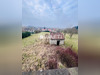 Ma-Cabane - Vente Maison Diebling, 61 m²