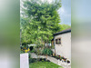 Ma-Cabane - Vente Maison Dieuze, 275 m²