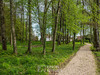 Ma-Cabane - Vente Maison DIJON, 471 m²