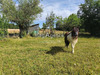 Ma-Cabane - Vente Maison DOMERAT, 99 m²