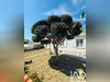 Ma-Cabane - Vente Maison Dompierre-sur-Mer, 130 m²