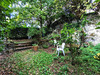 Ma-Cabane - Vente Maison DRAILLANT, 163 m²