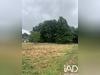 Ma-Cabane - Vente Maison Drefféac, 58 m²