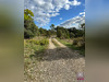 Ma-Cabane - Vente Maison DURFORT-ET-SAINT-MARTIN-DE-SOSSENAC, 300 m²