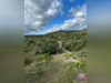 Ma-Cabane - Vente Maison DURFORT-ET-SAINT-MARTIN-DE-SOSSENAC, 300 m²