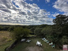 Ma-Cabane - Vente Maison DURFORT-ET-SAINT-MARTIN-DE-SOSSENAC, 300 m²