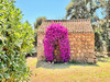 Ma-Cabane - Vente Maison ECCICA SUARELLA, 132 m²