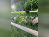 Ma-Cabane - Vente Maison Envronville, 80 m²