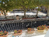 Ma-Cabane - Vente Maison ESCATALENS, 122 m²