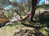 Ma-Cabane - Vente Maison ESPARRON DE VERDON, 72 m²