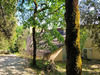 Ma-Cabane - Vente Maison EYZIES DE TAYAC SIREUIL, 203 m²