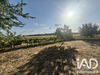 Ma-Cabane - Vente Maison Farges-Lès-Chalon, 301 m²